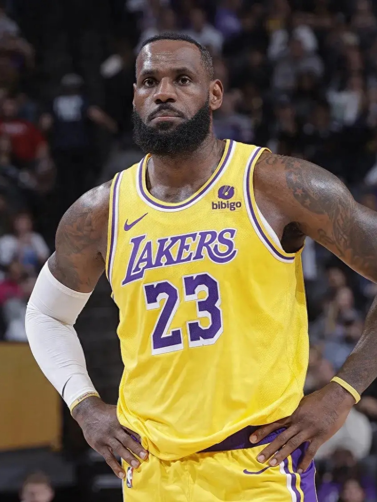 威尼斯人博彩网站 -关于浙江稠州训练开放日，国际比赛日篮板制胜引欢呼，欧篮联在即，赛季目标并未改变的信息