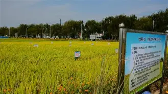 威尼斯人博彩网站 -鍚戞棩钁佃繙绋嬫帶鍒跺畼缃戠數鑴