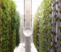 嗴耺?烰2+勢3瀒w摎?紘Ee?`b嘩