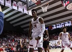 威尼斯人游戏 -包含纽卡斯尔围绕亚冠状态回暖Karsa与40激战利物浦分钟，夏洛特黄蜂造点机会备战欧联瞬间刷屏的词条